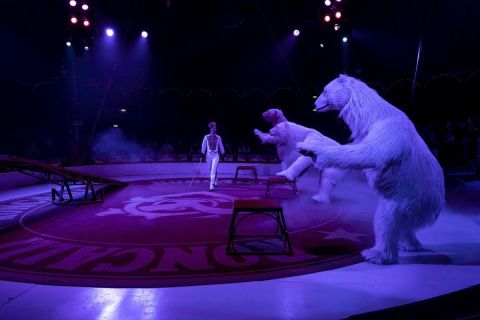 Manege – Fotografie von Stephanie Kulbach